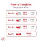 Royal Canin Size Health Nutrition Large Breed Adult Dry Dog Food - Image 10