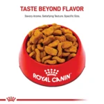 Royal Canin® Breed Health Nutrition® Bulldog Breed Specific Adult Dog Dry Food - Image 2