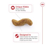Royal Canin® Breed Health Nutrition® Bulldog Breed Specific Adult Dog Dry Food - Image 5