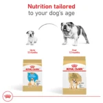 Royal Canin® Breed Health Nutrition® Bulldog Breed Specific Adult Dog Dry Food - Image 7
