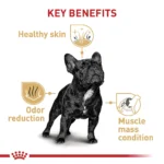 Royal Canin® Breed Health Nutrition® French Bulldog Adult Dog Dry Food - Image 5
