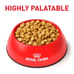 Royal Canin® Veterinary Diet Canine Ultamino Adult Dry Dog Food - Image 3