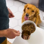 Nulo MedalSeries Adult Dry Dog Food - Salmon - Image 7