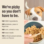 The Honest Kitchen Whole Grain Clusters Adult Dog Dry Food - Chicken & Oat - Image 5