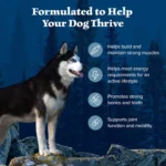 Blue Buffalo Wilderness Nature's Evolutionary Diet Adult Dry Dog Food - Chicken - Image 4