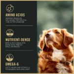 Purina Pro Plan Sport Active 27/17 Small Bites All Life Stages Dry Dog Food - Lamb & Rice - Image 7