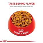 Royal Canin® Breed Health Nutrition® Dachshund Breed Specific Adult Dog Dry Food - Image 2