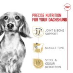 Royal Canin® Breed Health Nutrition® Dachshund Breed Specific Adult Dog Dry Food - Image 3