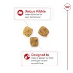 Royal Canin® Breed Health Nutrition® Dachshund Breed Specific Adult Dog Dry Food - Image 5