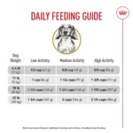Royal Canin® Breed Health Nutrition® Dachshund Breed Specific Adult Dog Dry Food - Image 10