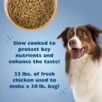 Bil-Jac® Select Adult Dog Food - Chicken - Image 3