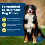 Blue Buffalo® Life Protection Formula Healthy Weight Adult Dog Dry Food - Chicken & Brown Rice - Image 4
