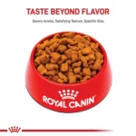 Royal Canin® Breed Health Nutrition® Boxer Breed Specific Adult Dog Dry Food - Image 2