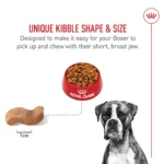 Royal Canin® Breed Health Nutrition® Boxer Breed Specific Adult Dog Dry Food - Image 4