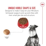 Royal Canin® Breed Health Nutrition® Miniature Schnauzer Breed Specific Adult Dog Dry Food - 10 lb - Image 3