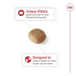 Royal Canin® Breed Health Nutrition® Miniature Schnauzer Breed Specific Adult Dog Dry Food - 10 lb - Image 4