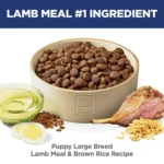 Hill's Science Diet Large Breed Puppy Dry Dog Food - Lamb & Brown Rice - Image 3