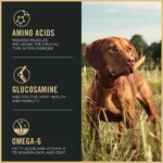 Purina Pro Plan Sport Performance 30/20 All Life Stages Dry Dog Food - Beef & Bison - Image 7