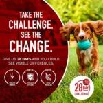 Purina ONE® +Plus Large Breed Puppy Dog Dry Food - Chicken, High-Protein, Antioxidants - Image 3