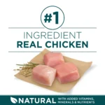 Purina ONE® +Plus Large Breed Puppy Dog Dry Food - Chicken, High-Protein, Antioxidants - Image 4