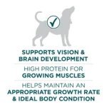 Purina ONE® +Plus Large Breed Puppy Dog Dry Food - Chicken, High-Protein, Antioxidants - Image 5