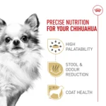 Royal Canin Adult Dry Dog Food - Chihuahua Breed Health Nutrition - Image 3