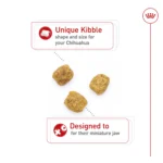 Royal Canin Adult Dry Dog Food - Chihuahua Breed Health Nutrition - Image 5