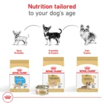 Royal Canin Adult Dry Dog Food - Chihuahua Breed Health Nutrition - Image 7