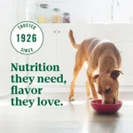 NUTRO ULTRA™ Adult Dry Dog Food - Chicken, Lamb, Salmon - Image 4