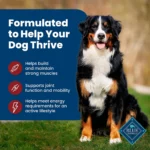 Blue Buffalo® Life Protection Formula™ Adult Dry Dog Food - Beef & Brown Rice - Image 4
