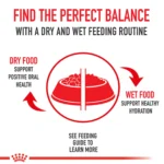 Royal Canin Size Health Nutrition Giant Breed Adult Dog Dry Food - 30 lb - Image 5