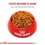 Royal Canin Size Health Nutrition Small Breed Adult Dry Dog Food - Image 2