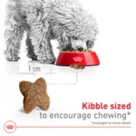 Royal Canin Size Health Nutrition Small Breed Adult Dry Dog Food - Image 4