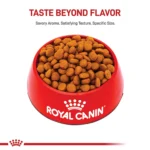 Royal Canin Canine Adult Dry Dog Food - Large Breed Digestive Care Nutrition, 30 lb - Image 2