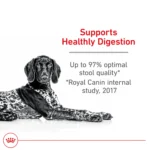 Royal Canin Canine Adult Dry Dog Food - Large Breed Digestive Care Nutrition, 30 lb - Image 3