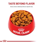 Royal Canin® Breed Health Nutrition Rottweiler Breed Specific Adult Dog Dry Food - 30 lb - Image 2