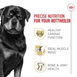 Royal Canin® Breed Health Nutrition Rottweiler Breed Specific Adult Dog Dry Food - 30 lb - Image 3
