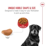 Royal Canin® Breed Health Nutrition Rottweiler Breed Specific Adult Dog Dry Food - 30 lb - Image 4