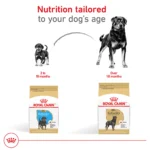 Royal Canin® Breed Health Nutrition Rottweiler Breed Specific Adult Dog Dry Food - 30 lb - Image 7