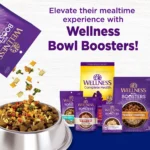 Wellness® Complete Health Large Breed Adult Dog Food - Natural - Image 7