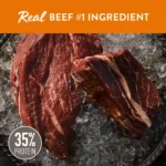 Simply Nourish® Source Adult Dry Dog Food - Beef - Image 2