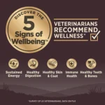 Wellness® CORE® Adult Dry Dog Food - Natural, Grain Free, Ocean Formula - Image 4