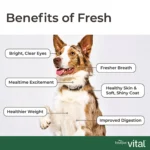 Freshpet® Vital™Grain Free Beef & Bison Adult Dog Food - Image 7