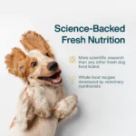 JustFoodForDogs All Life Stages Frozen Dog Food - Chicken & White Rice - Image 2