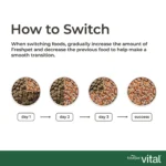 Freshpet® Vital™ Grain Free Complete Meals Beef with Lamb Adult Dog Food - Image 8