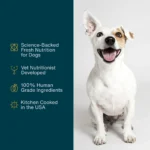 JustFoodForDogs All Life Stages Frozen Dog Food - Fish & Sweet Potato, Grain Free - Image 4