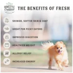 Freshpet® Homestyle Creations All Life Stage Dog Food - Fresh, Chicken & Turkey - Image 6