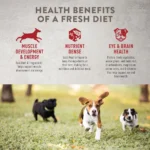 Simply Nourish® Fresh Market Adult Frozen Dog Food - Beef & Barley - Image 3