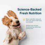 JustFoodForDogs Adult Frozen Dog Food - Beef & Russet Potato, Grain Free - Image 2