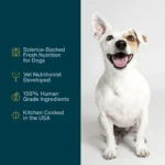 JustFoodForDogs Adult Frozen Dog Food - Beef & Russet Potato, Grain Free - Image 4